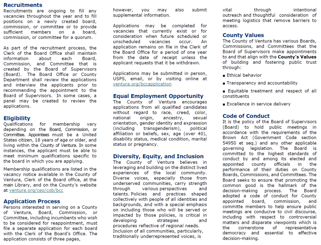 InformationalPamphlet Slide 2