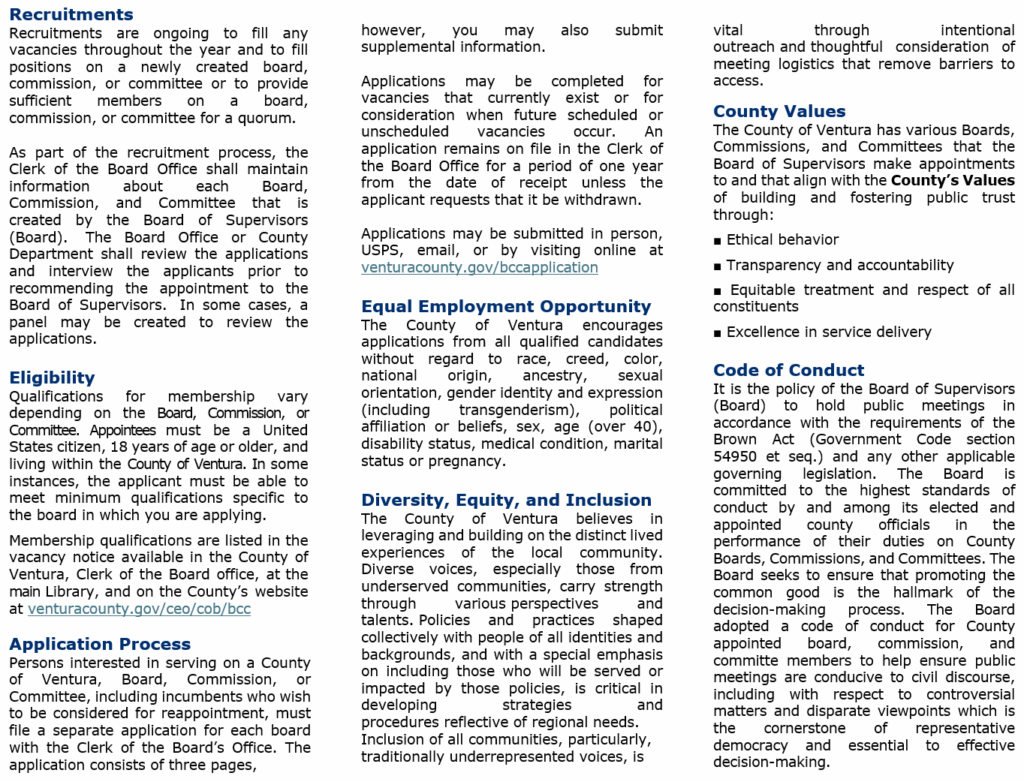 InformationalPamphlet Slide 2