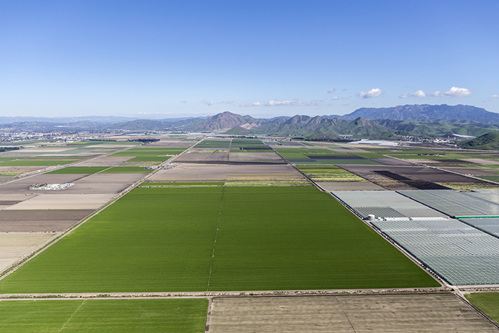 Farm Aerial Veiw5